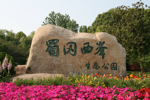 1599203555294896.jpg 111(6).jpg