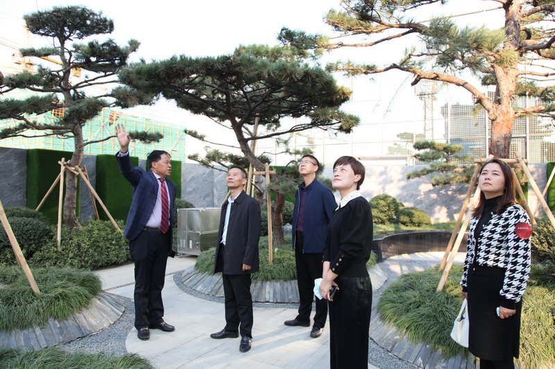 1636356184611890.jpg 202110250010.jpg